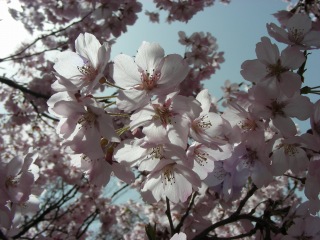 0804_23.jpg