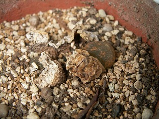 0808_12.jpg