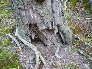 0809_01.jpg