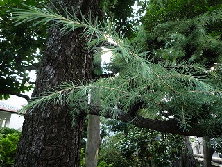 0809_02.jpg