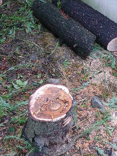 0809_05.jpg
