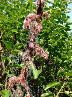 0809_06.jpg