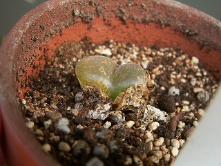 0810_05.jpg