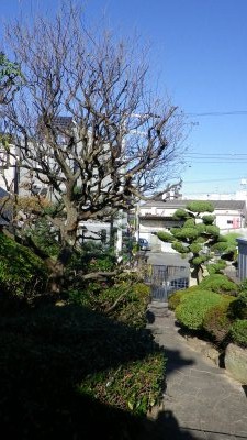 1111_03.jpg