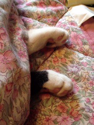 1204_13.jpg