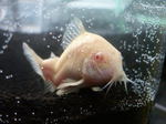 PICT6347.jpg